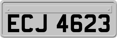 ECJ4623