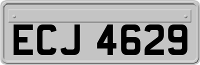 ECJ4629