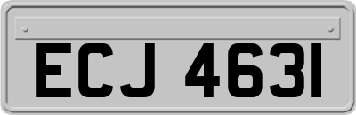 ECJ4631