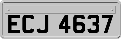 ECJ4637