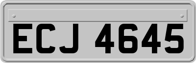 ECJ4645