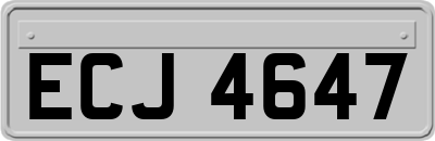 ECJ4647