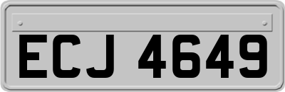 ECJ4649