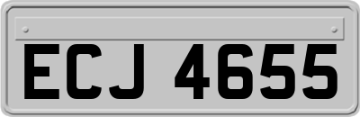 ECJ4655