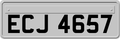 ECJ4657