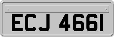 ECJ4661