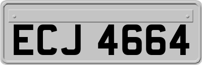 ECJ4664