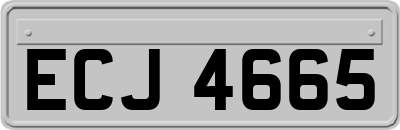 ECJ4665