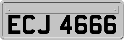 ECJ4666