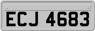 ECJ4683