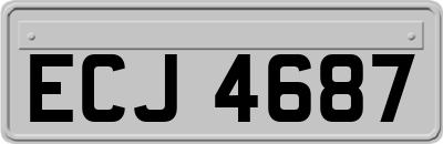 ECJ4687