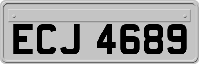 ECJ4689