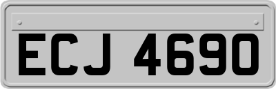 ECJ4690