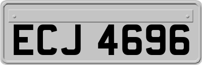 ECJ4696