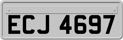ECJ4697