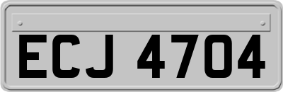 ECJ4704
