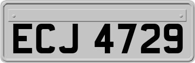 ECJ4729