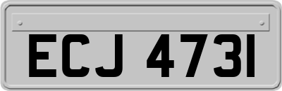 ECJ4731