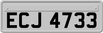 ECJ4733