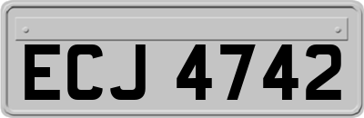 ECJ4742