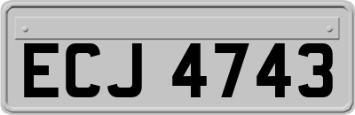 ECJ4743