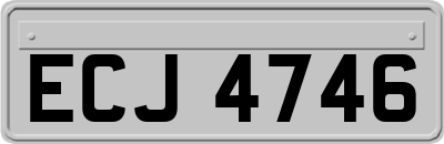 ECJ4746
