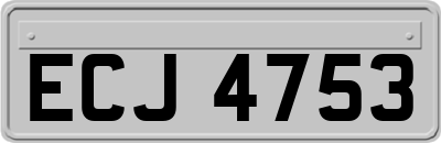 ECJ4753
