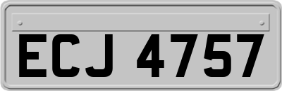 ECJ4757