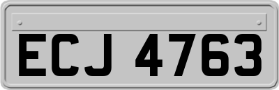 ECJ4763
