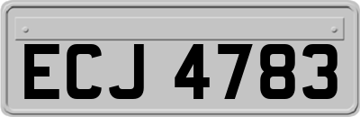 ECJ4783