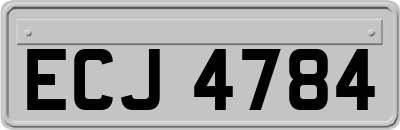 ECJ4784