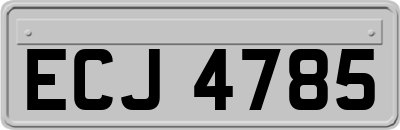 ECJ4785