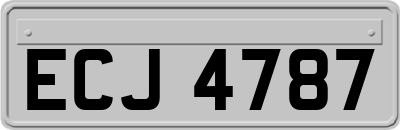 ECJ4787