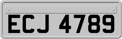 ECJ4789
