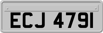 ECJ4791