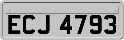 ECJ4793