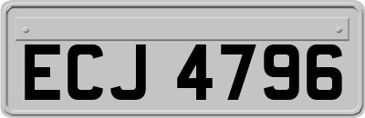 ECJ4796