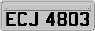 ECJ4803