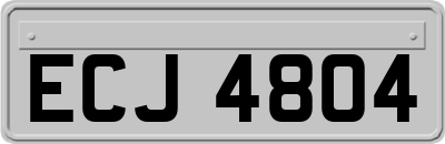 ECJ4804