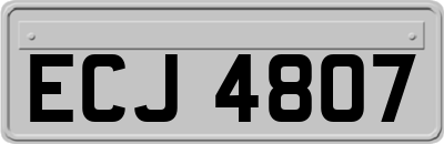 ECJ4807