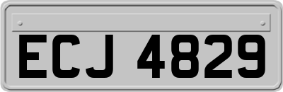 ECJ4829