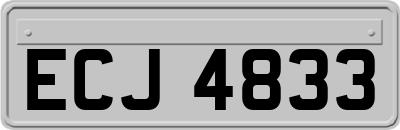 ECJ4833