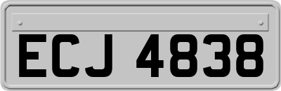 ECJ4838
