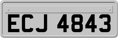 ECJ4843