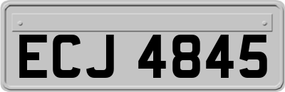 ECJ4845