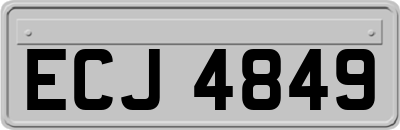 ECJ4849