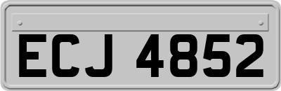 ECJ4852