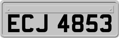 ECJ4853