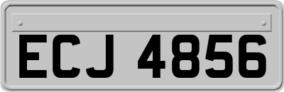 ECJ4856
