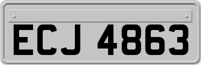 ECJ4863